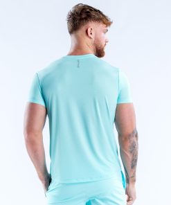 Alternative view of Charge Active Top